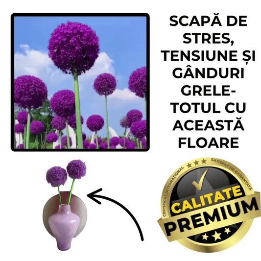 Florile Uriașe- MagicBloom™