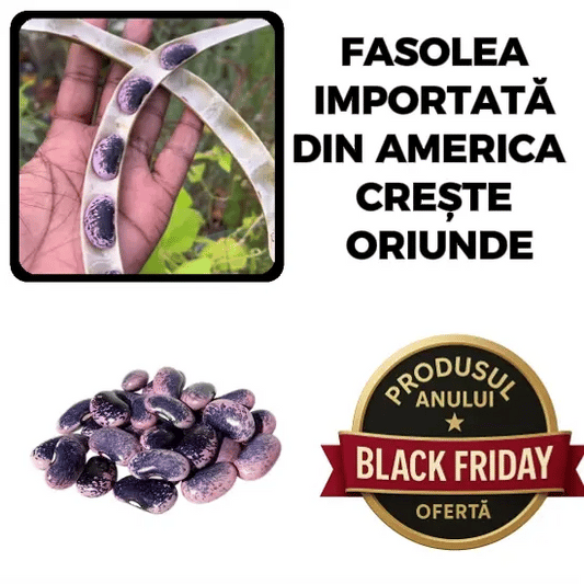 Crește Oriunde, Rodește Mult! - SuperBOB™