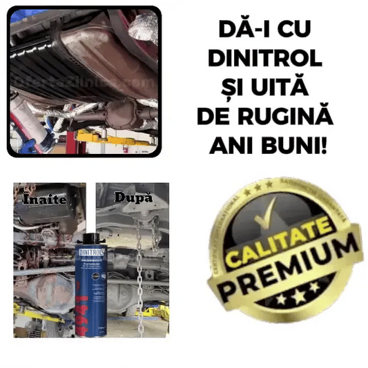 Spray Pentru Rugină! DINITROL™