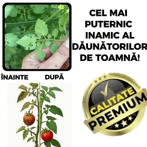 Soluții împotriva dăunătorilor de toamnă - InsectOff™