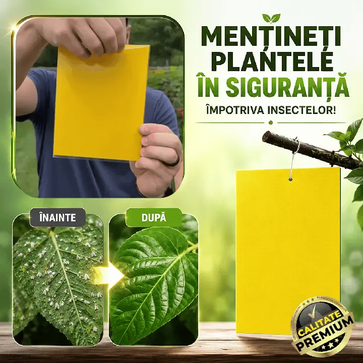 Capcană Lipicioasă Pentru Insecte InsectoFix™