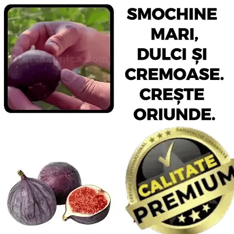 Smochine Magice - Smochinel™